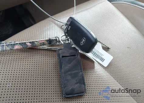 2019 Kia Sedona Ex из США, поврежденный, VIN KNDMB5C18K6526941